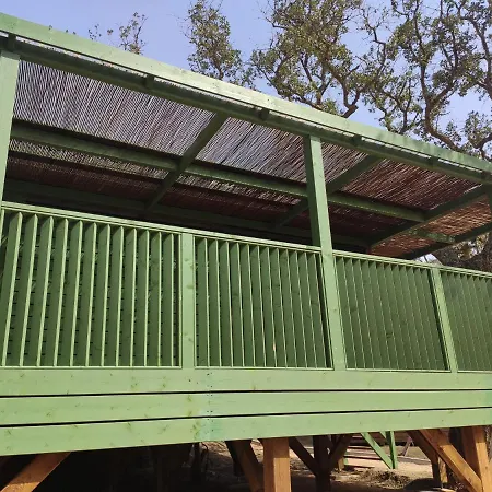 Pola Giverola Camp *