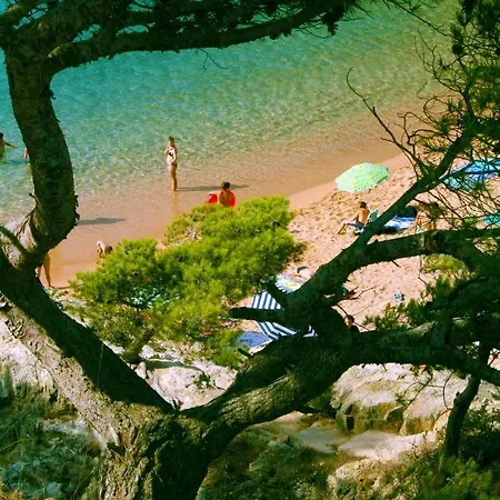 Kamp alanı Pola Giverola Camp *