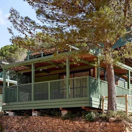 Pola Giverola Camp *