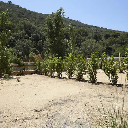 Kamp alanı Pola Giverola Camp Tossa de Mar