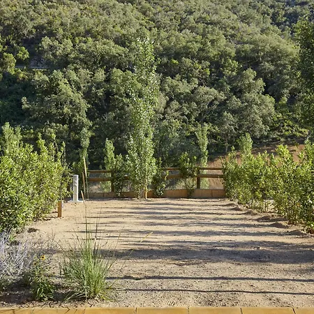 Kamp alanı Pola Giverola Camp *